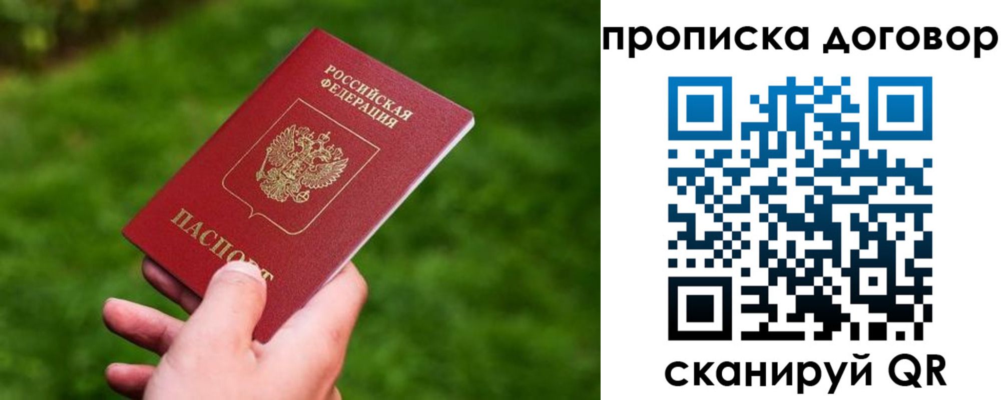 прописка гарантия в Гусь-Хрустальном
